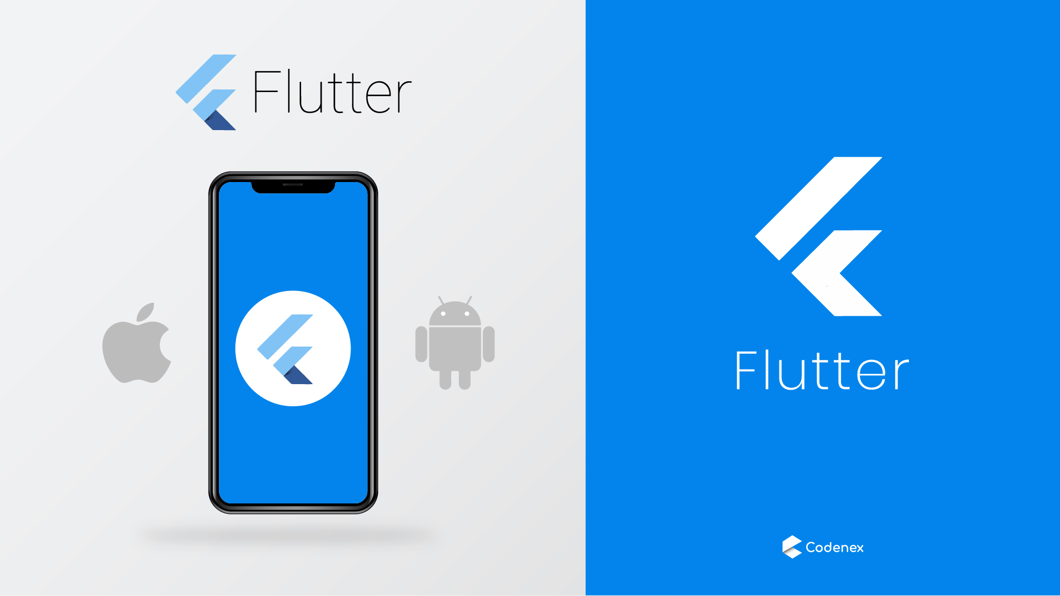 Why Google Flutter.? | Codenex Solutions | App Development ...